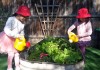 感受天地，親近自然 — 記浩智托兒中心兒童園藝活動點滴
